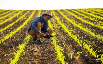 La brecha digital agrícola: cuando la innovación no germina