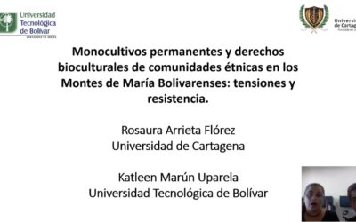 Rosaura Arrieta F.  Katleen Marún U.  Monocultivos permanentes y derechos bioculturales de comunidades étnicas en los Montes de María Bolivarenses: tensiones y resistencia