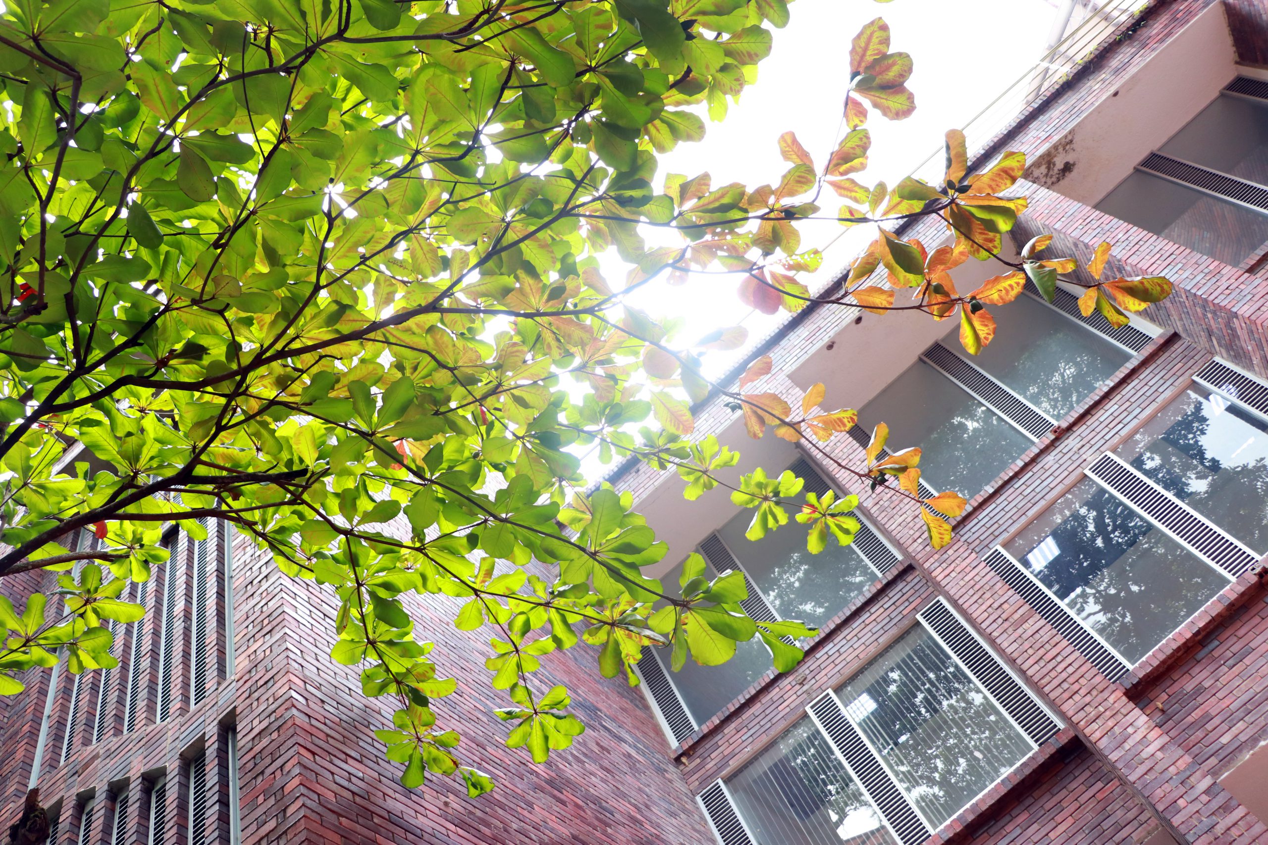 UNAB rinde tributo a la memoria de Luis Carlos Galán Sarmiento