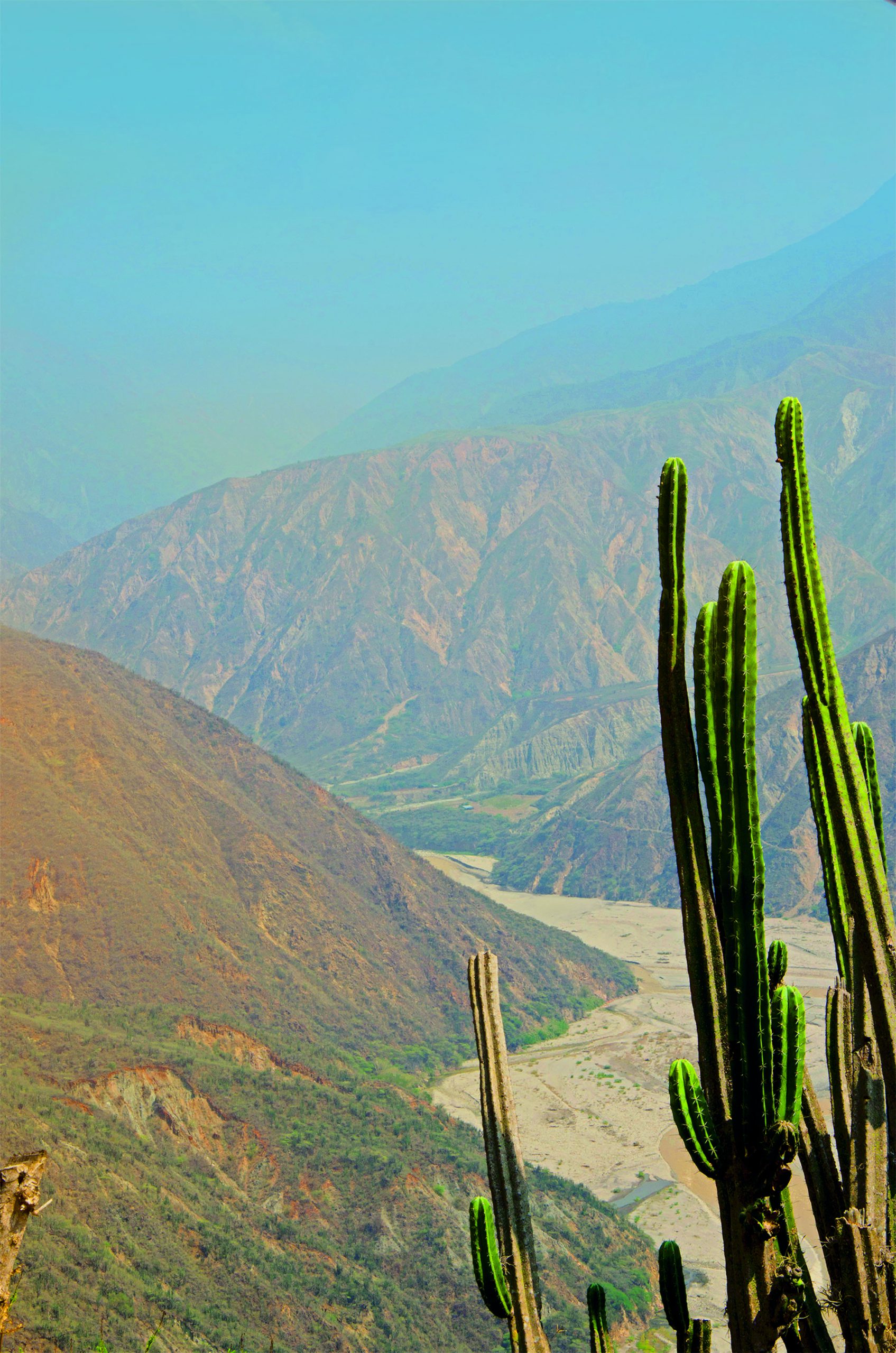 Convocatoria para estudios en el sector turístico y gastronómico