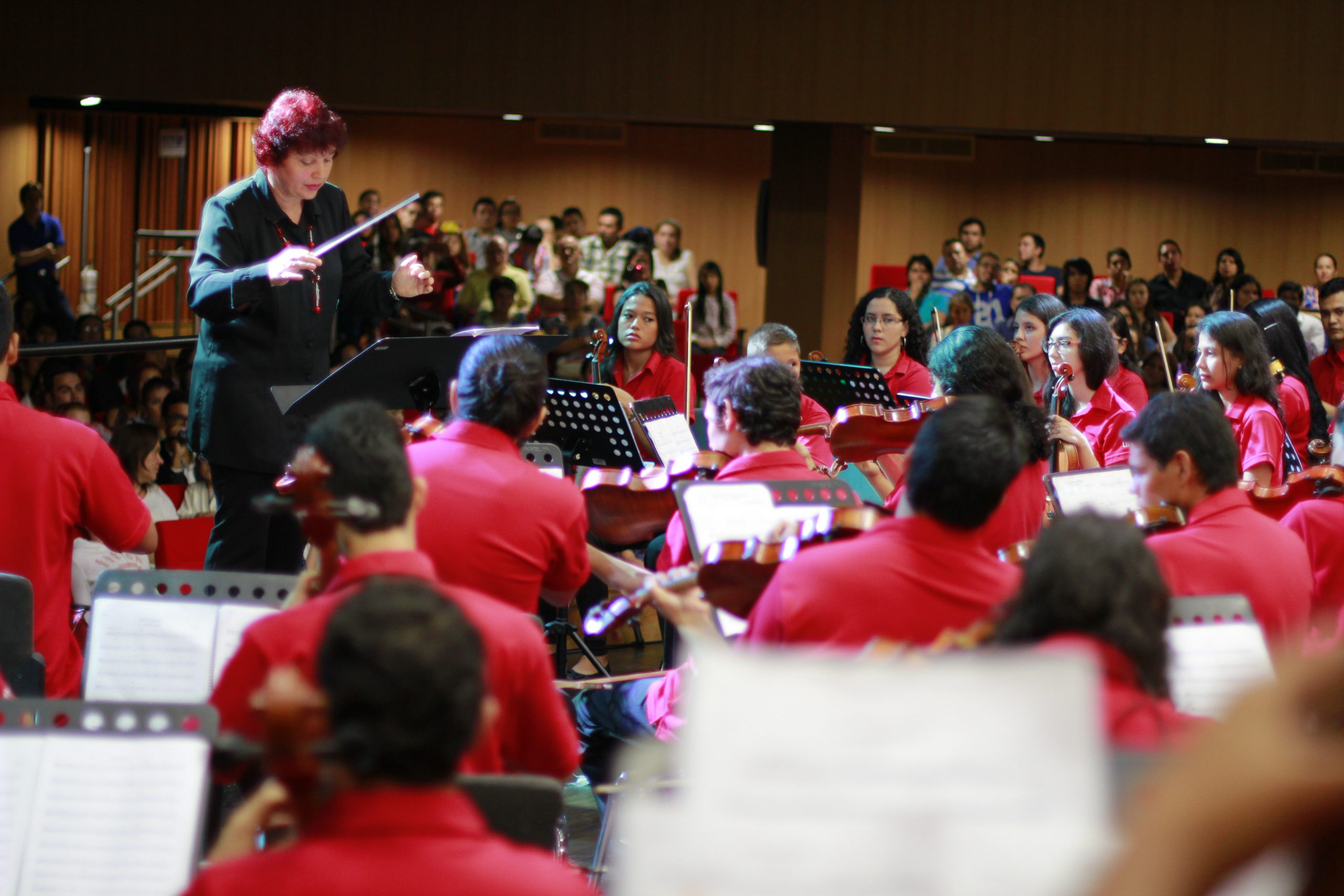 Concierto Orquesta Sinfónica Juvenil UNAB