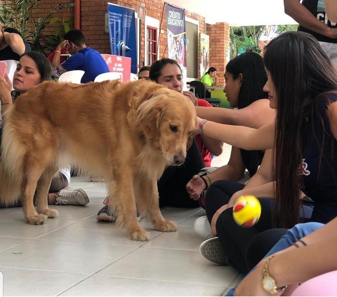 Embajadora Unab Creative impacta las aulas del programa de Derecho