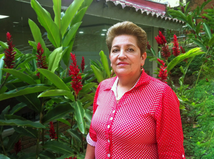 Nueva jefatura Departamento de Sistemas