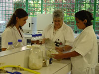 Investigación en  la UNAB: alta calificación