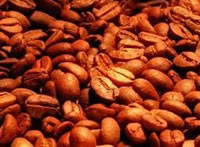 Trabajan en favor de las pequeñas y medianas empresas productoras de café