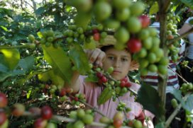 Turismo tipo reality? se estrena en Santander