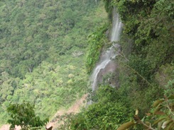 De 2002 a hoy, período de buenos números