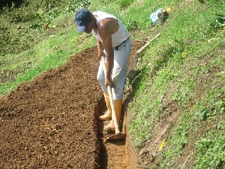 Redes por la igualdad de género