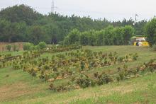 Caso Sandra Orejarena. Habla su protagonista