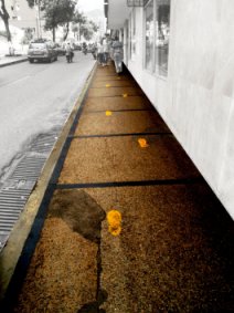 Caminante no hay camino??