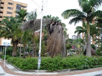 Con el abstencionismo de los jóvenes (50%), falta de información a la hora de votar y una relativa calma en el trascurso del día, se desarrolló la jornada electoral en Girón