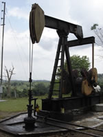 La avaricia del petróleo