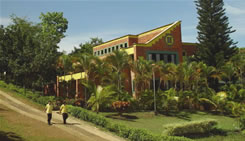 Cincuenta y cinco años