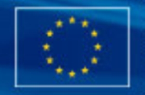 Programa Jean Monnet – Convocatoria 2010