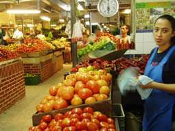 Música y caricias para el cultivo del tomate Rrojo