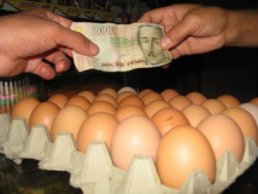 El huevo y el pollo: ajustándose al compás del mercado