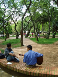 Métale mano a los parques