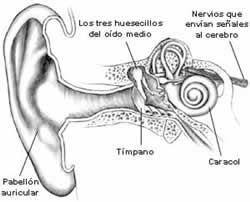 El ruido enloquece a los  bumangueses