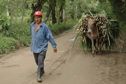 Bajan las exportaciones y aumenta el desempleo