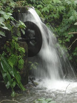 Naturaleza y preservación ecológica