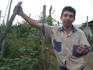 Monocultivos vs. seguridad alimentaria