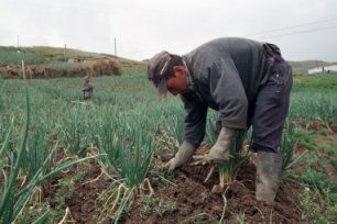 Hambre crónica en Magdalena Medio alcanza el 60%