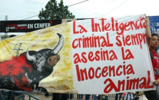 La tauromaquia, ?no es arte ni cultura?