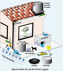 Alarma en Santander por aumento de casos de dengue hemorr?gico