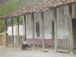 Sobreviviente en medio del olvido