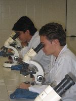 Acemunab promueve la investigación