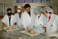 Medicina ya tiene Registro Calificado