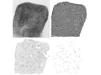 Póngase al día en ciencias forenses