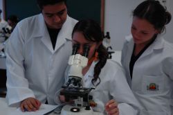 Muestra de semilleros de investigación