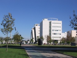 Aliados con la Universidad Politécnica de Valencia