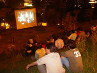 Los video conciertos, una variedad musical