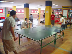 Fiebre de tenis de mesa