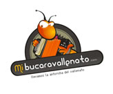 Dos estudiantes de la UNAB portan la antorcha del  vallenato