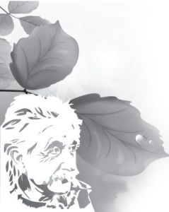 Estímulo a innovadores