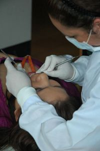 «Emergencia social» entra a examen