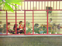 Análisis de las Facultades sobre los Ecaes