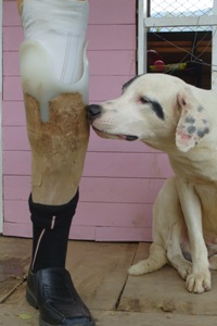 Santander avanza en atención a víctimas de minas