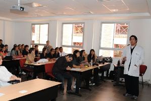 Los semilleros empiezan a crecer