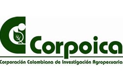 Corpoica requiere Director de Caribia y Turipaná  2011