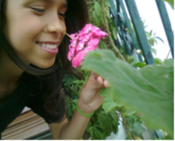 Lágrimas de ángeles