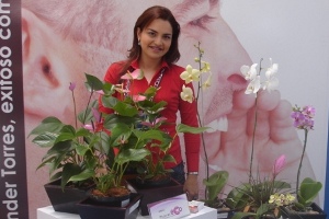 Oportunidad para Creación de Empresas Sostenibles