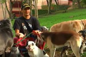 El Paseador de Canes