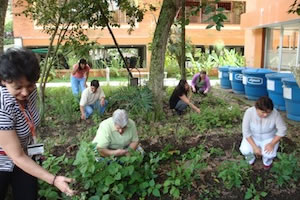 Día Internacional de la Mujer