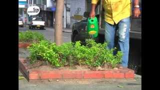 Bucaramanga, ¿Ciudad Limpia?