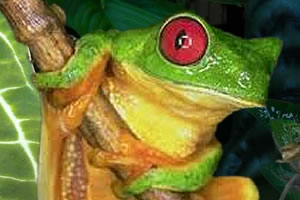 11 de Septiembre:Dia Nacional de la Biodiversidad