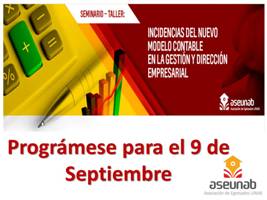 Normas Internacionales de Contabilidad. Impactos e incidencias